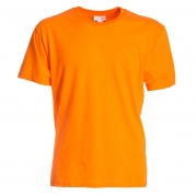 DOBS150 01
